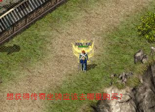 想获得传奇坐骑应该去哪里购买? 想获得传奇坐骑应该去哪里购买?
