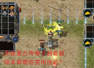 ���⸴�Ŵ����������°汾����Щʵ�ü��ɣ�