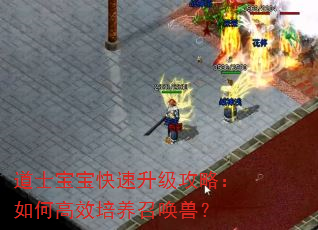 ��ʿ���������������ԣ���θ�Ч�����ٻ��ޣ�