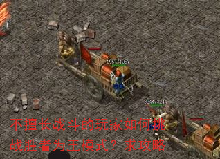 ���ó�ս������������սʤ��Ϊ��ģʽ������