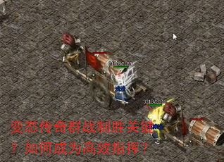 ��̬����Ⱥս��ʤ�ؼ�����γ�Ϊ��Чָ�ӣ�