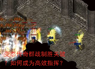 ��̬����Ⱥս��ʤ�ؼ�����γ�Ϊ��Чָ�ӣ�