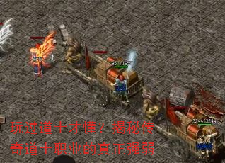 �����ʿ�Ŷ������ش����ʿְҵ������ǿ��