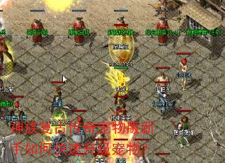 神族复古传奇宠物版新手如何快速升级宠物? 神族复古传奇宠物版新手如何快速升级宠物?