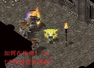 ����ڴ���1.76sf�п��������ȼ���