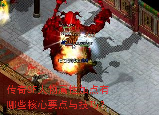 ����SF�������Լӵ�����Щ����Ҫ���뼼�ɣ�