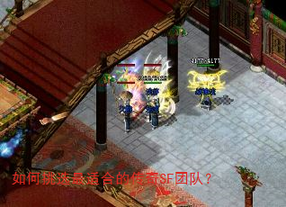 如何挑选最适合的传奇SF团队? 如何挑选最适合的传奇SF团队?