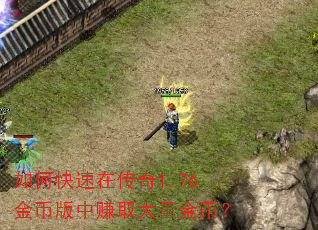 如何快速在传奇1.76金币版中赚取大量金币? 如何快速在传奇1.76金币版中赚取大量金币?