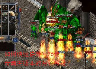 如何快速提升1.76传奇暗黑版本的角色等级? 如何快速提升1.76传奇暗黑版本的角色等级?