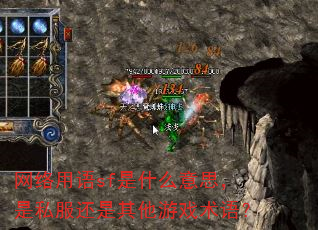 ��������sf��ʲô��˼����˽������������Ϸ���