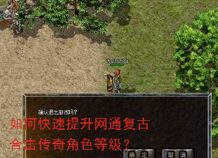 如何快速提升网通复古合击传奇角色等级? 如何快速提升网通复古合击传奇角色等级?