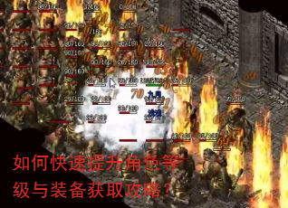 如何快速提升角色等级与装备获取攻略? 如何快速提升角色等级与装备获取攻略?