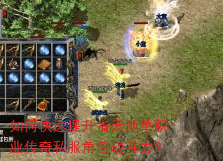 如何快速提升指天地单职业传奇私服角色战斗力? 如何快速提升指天地单职业传奇私服角色战斗力?