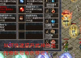 如何快速提升武神热血传奇私服角色等级? 如何快速提升武神热血传奇私服角色等级?