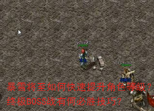 暴雪将至如何快速提升角色等级?终极BOSS战有何必胜技巧? 暴雪将至如何快速提升角色等级?终极BOSS战有何必胜技巧?