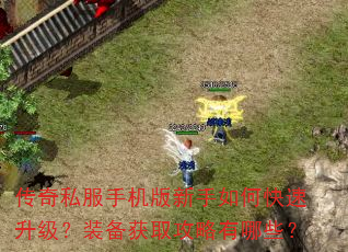传奇私服手机版新手如何快速升级?装备获取攻略有哪些? 传奇私服手机版新手如何快速升级?装备获取攻略有哪些?