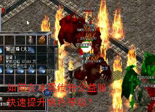 ����ڱ�ѩ���湫�������������ɫ�ȼ���