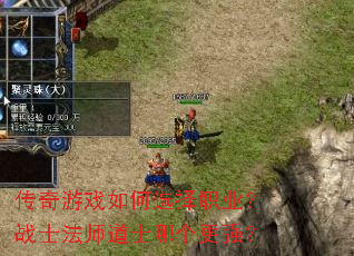 Ϸѡְҵսʿʦʿĸǿ