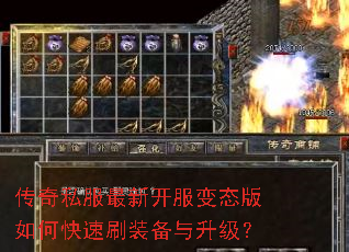 ����˽�����¿�����̬����ο���ˢװ����������