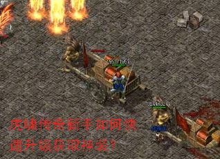 ��Х����������ο���������ȡ��װ��