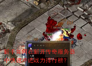 ����������¿�����������п��ٳ��ս�����а�