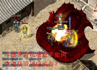 ���Ʋ��˽��������ο��ٻ�ȡ����װ����