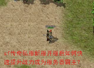 sf����˽���·���������ο�������ս����Ϊ������������