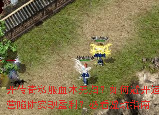 ������˽��Ѫ���޹飿��αܿ���Ӫ����ʵ��ӯ�����ؿ��ܿ�ָ��