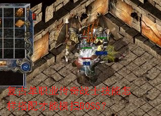 ���ŵ�ְҵ����սʿ��������������ܺ�ɨBOSS��