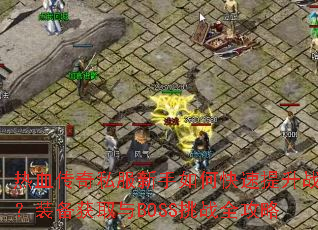 ��Ѫ����˽��������ο�������ս����װ����ȡ��BOSS��սȫ����