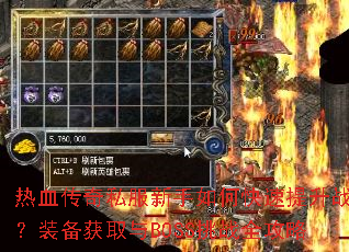 ��Ѫ����˽��������ο�������ս����װ����ȡ��BOSS��սȫ����