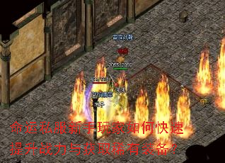 ����˽�����������ο�������ս�����ȡϡ��װ����