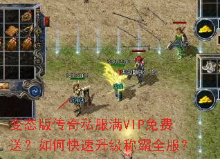 ��̬�洫��˽����VIP����ͣ���ο��������ư�ȫ����