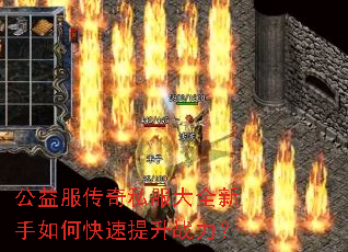 ���������˽����ȫ������ο�������ս����