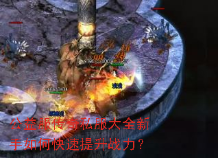 ���������˽����ȫ������ο�������ս����