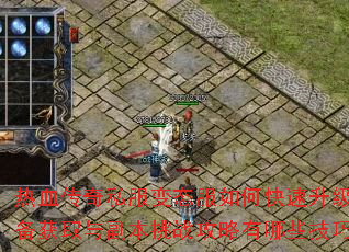 ��Ѫ����˽����̬����ο���������װ����ȡ�븱����ս��������Щ���ɣ�