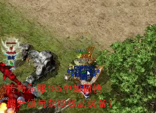 ����˽��185����ο����������ȡ��Ʒװ����