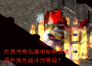 ���鴫��˽������ο���������ɫս�����ȼ���