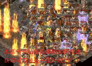 ľ�ϴ���˽���߱�����ο��ٻ�ȡϡ��װ��������ս����