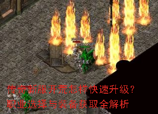 �����·�������������������ְҵѡ����װ����ȡȫ����