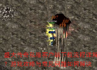 ʢ����˽���ͻ�������������⣿��Ϸ�����볣��������ν��