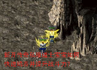 �¿�����˽����ʿ������ο�������������ս������