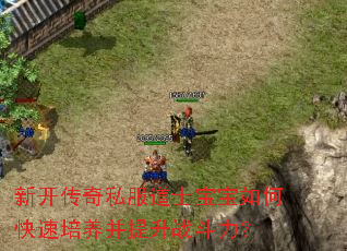 �¿�����˽����ʿ������ο�������������ս������