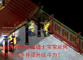 �¿�����˽����ʿ������ο�������������ս������