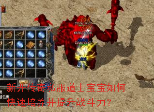 �¿�����˽����ʿ������ο�������������ս������