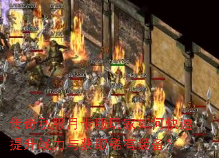 ����˽���¿��������ο�������ս�����ȡϡ��װ����