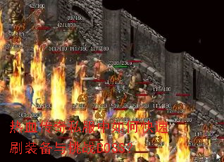 ��Ѫ����˽������ο���ˢװ������սBOSS��