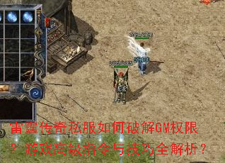 ��������˽������ƽ�GMȨ�ޣ���Ϸ�߼�ָ���뼼��ȫ������