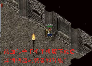 ��Ѫ�����ֻ����������غ���ο���ˢװ����������