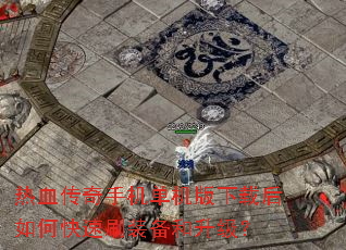 ��Ѫ�����ֻ����������غ���ο���ˢװ����������